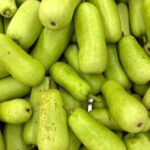 Çin topu 4 lü hapı eczanede satışı var mı