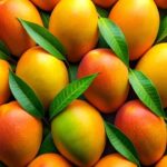 Kamagra jel alkol ile kullanılır mı