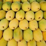 Çin topu hapı çeşitleri