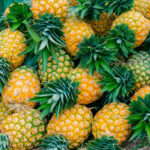 Kamagra hap siparişi